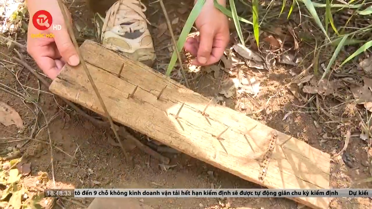 Đắk Nông: Lâm tặc làm bẫy "bẫy" lực lượng bảo vệ rừng