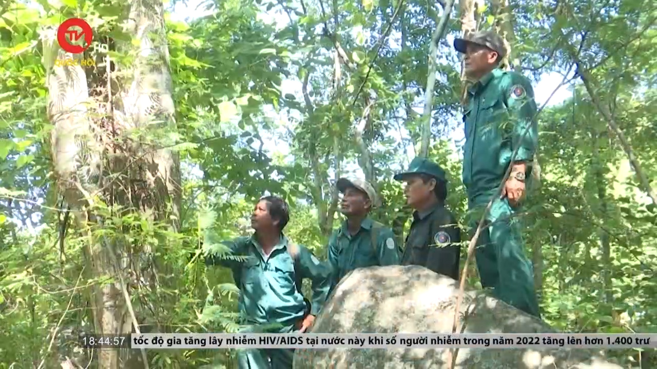 Bình Thuận: Lương 3 triệu/tháng, hàng loạt nhân viên bảo vệ rừng nghỉ việc