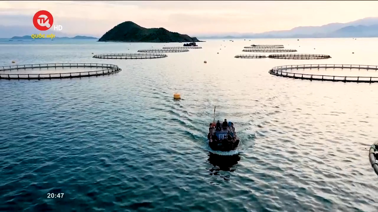 Biên giới biển đảo quê hương |Số 6|: Khánh Hòa - Nuôi trồng thủy sản gắn chặt với bảo vệ môi trường