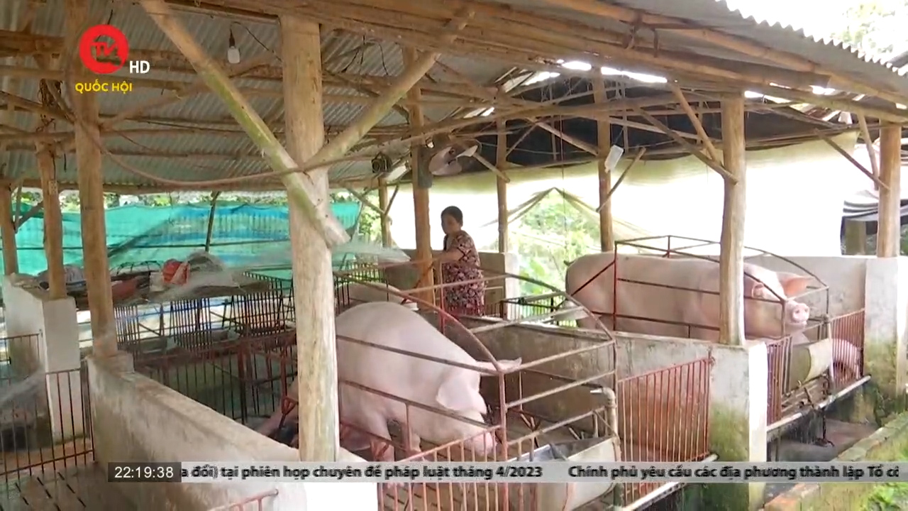 Chăn nuôi lợn ở Đồng Nai cần “cứu nguy khẩn cấp”