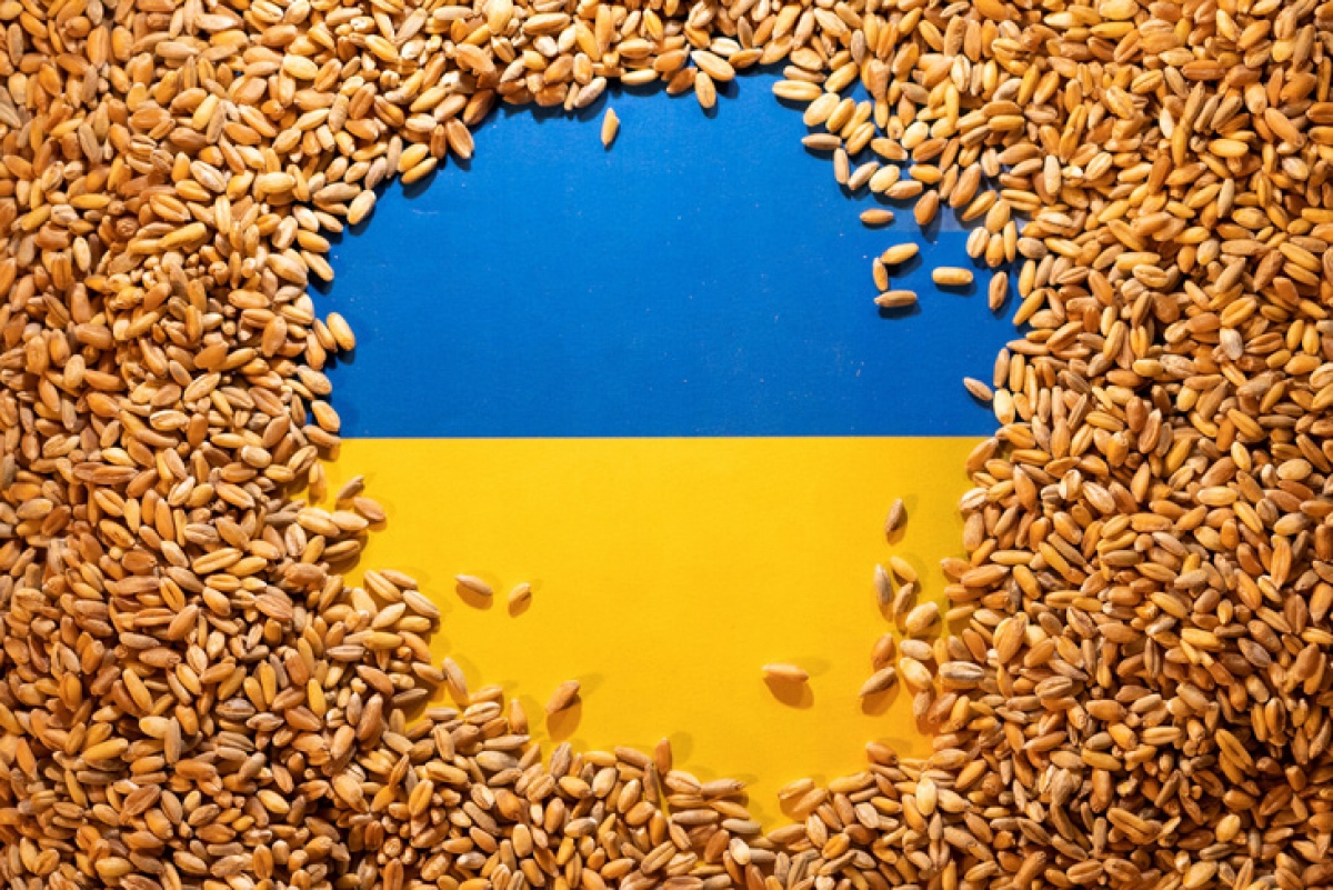EU chỉ trích Ba Lan, Hungary vì cấm ngũ cốc Ukraine