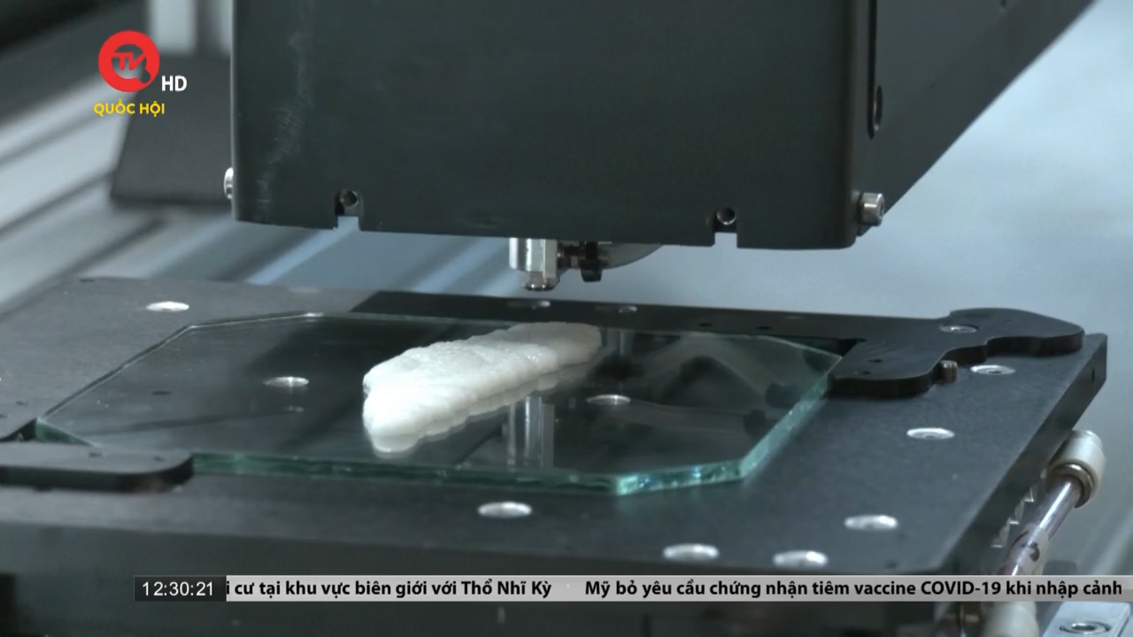 Israel sản xuất phi lê cá từ tế bào được nuôi cấy trong phòng thí nghiệm