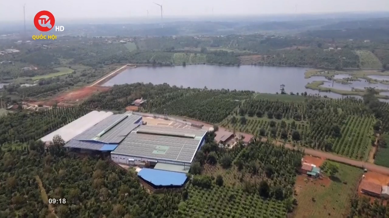 Nông nghiệp Việt Nam: Thúc đẩy kinh tế tuần hoàn trong sản xuất nông nghiệp