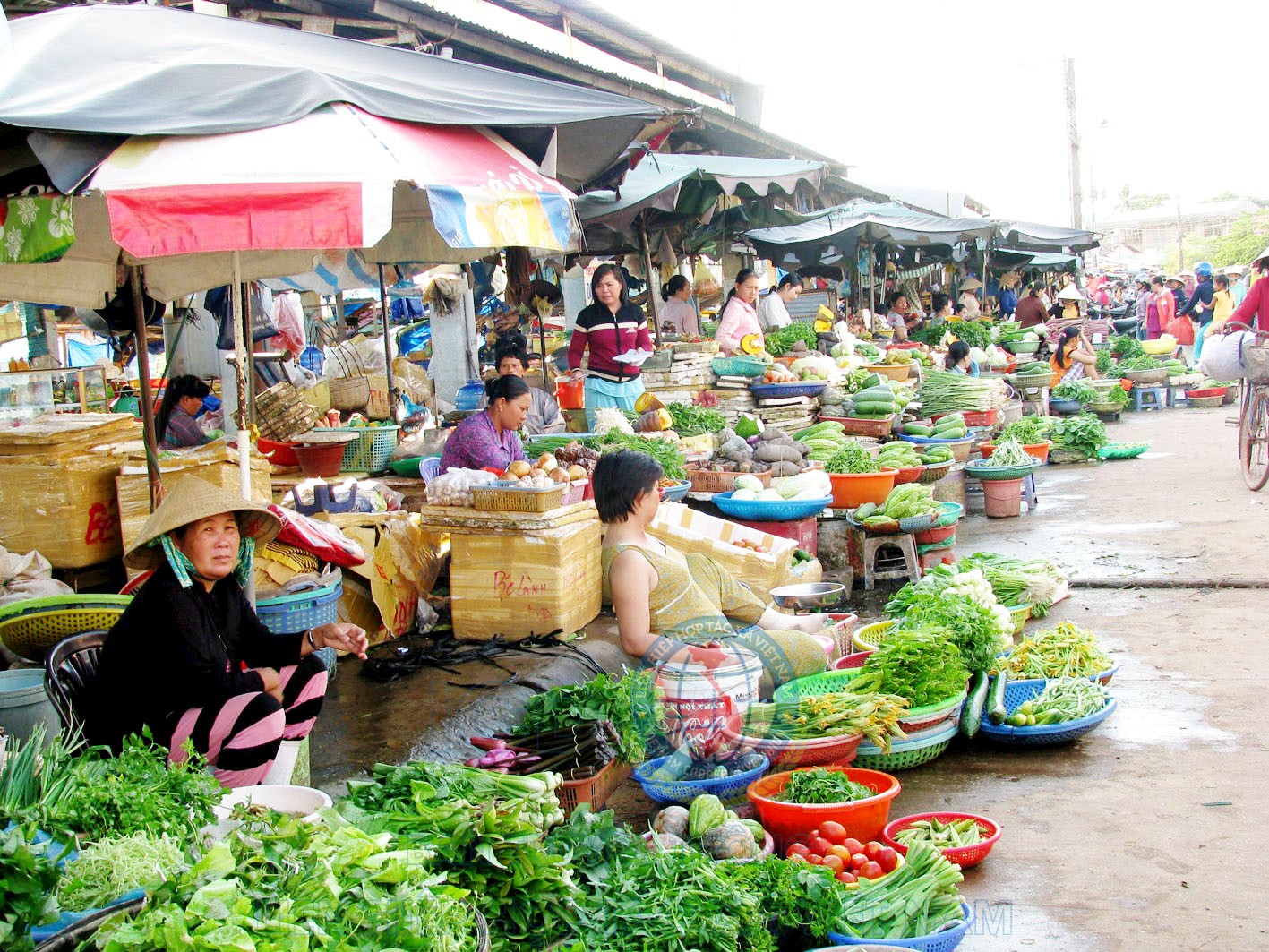 Góc nhìn hôm nay: Đất sống cho chợ truyền thống