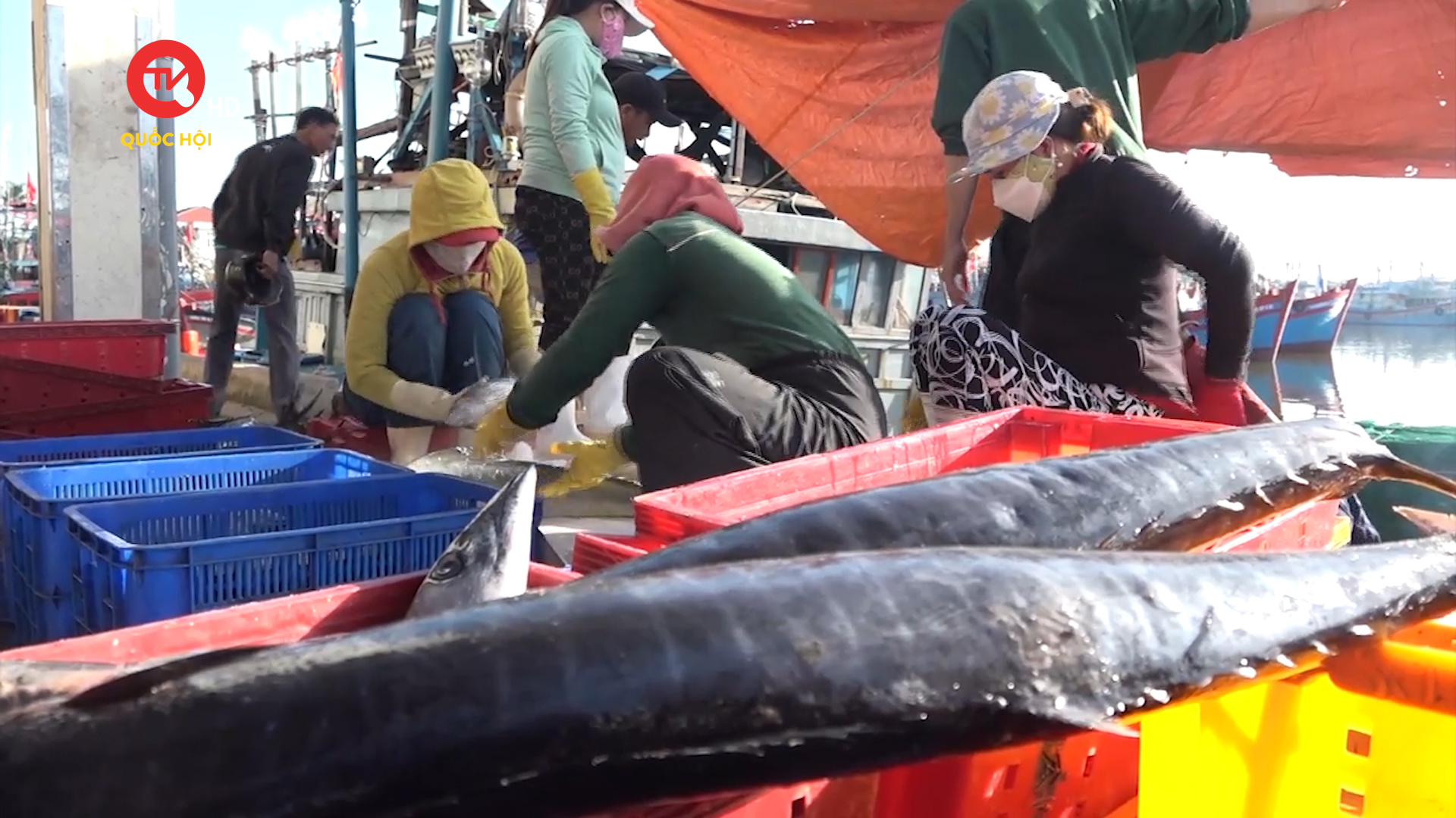 Hội Nghề cá Việt Nam phản đối Trung Quốc cấm đánh bắt cá phi lý ở Biển Đông