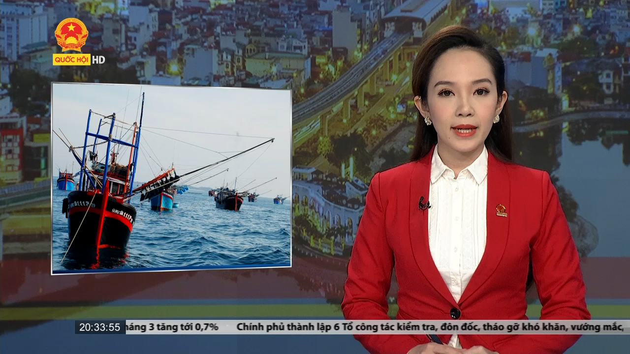 Hội Nghề cá Việt Nam phản đối Trung Quốc cấm đánh bắt cá trên biển Đông