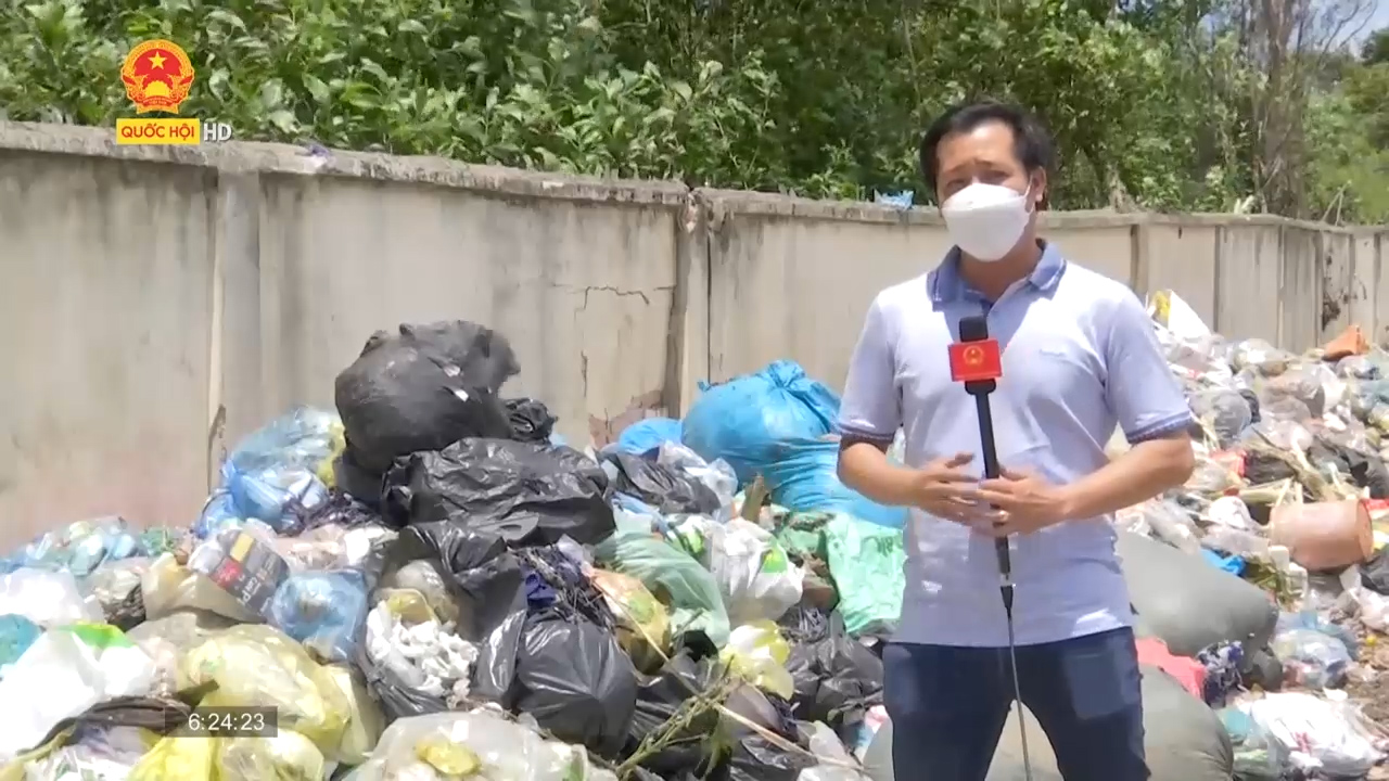 Bà Rịa - Vũng Tàu: Nơi trung chuyển rác biến thành bãi rác giữa khu bảo tồn sinh thái