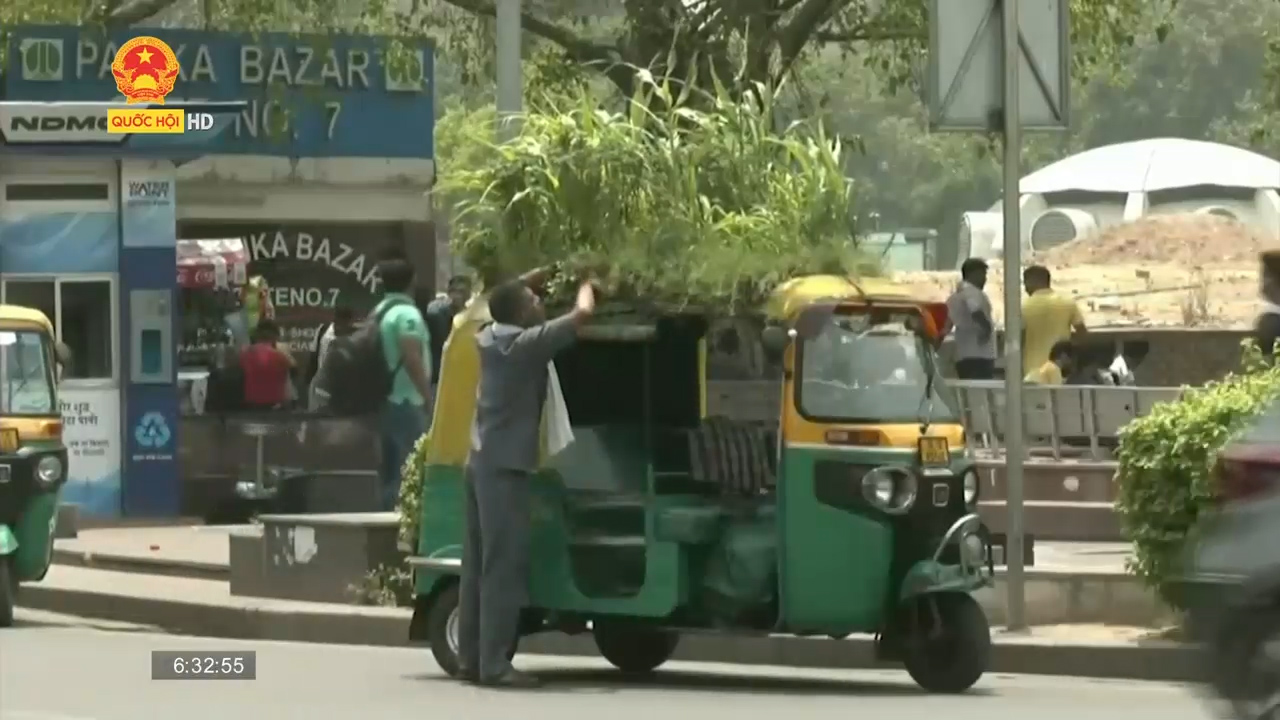Ấn Độ: Độc đáo “Khu vườn mini” trên nóc xe lam