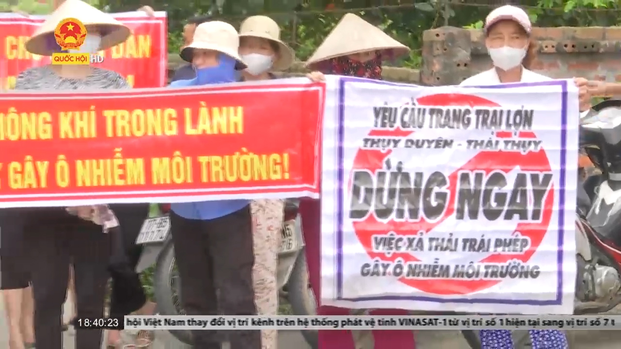 Thái Bình: Dân kêu cứu vì ô nhiễm từ trại lợn, huyện lảng tránh thông tin