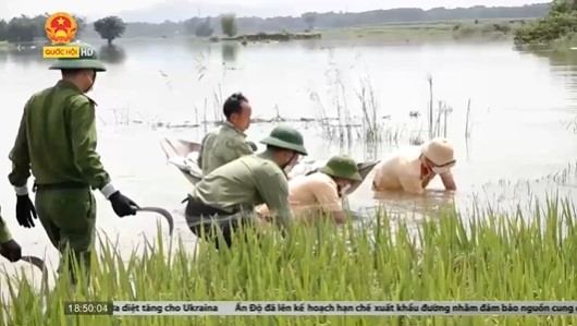 Hà Nội: Công an xuống đồng giúp dân gặt lúa sau mưa lớn