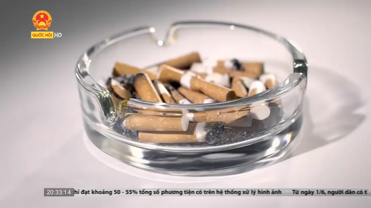 Cảnh báo tác động môi trường của ngành công nghiệp thuốc lá