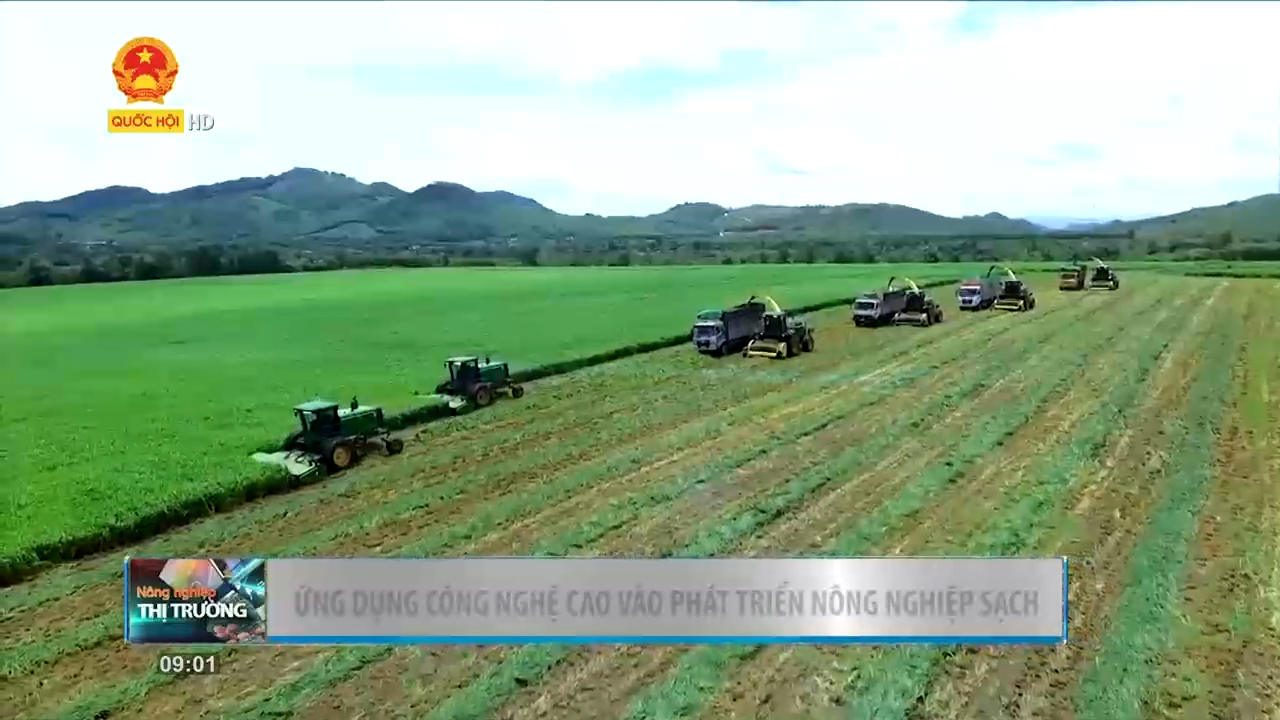 Nông nghiệp Việt Nam: Phát triển cánh đồng lớn chấm dứt tình trạng sản xuất manh mún