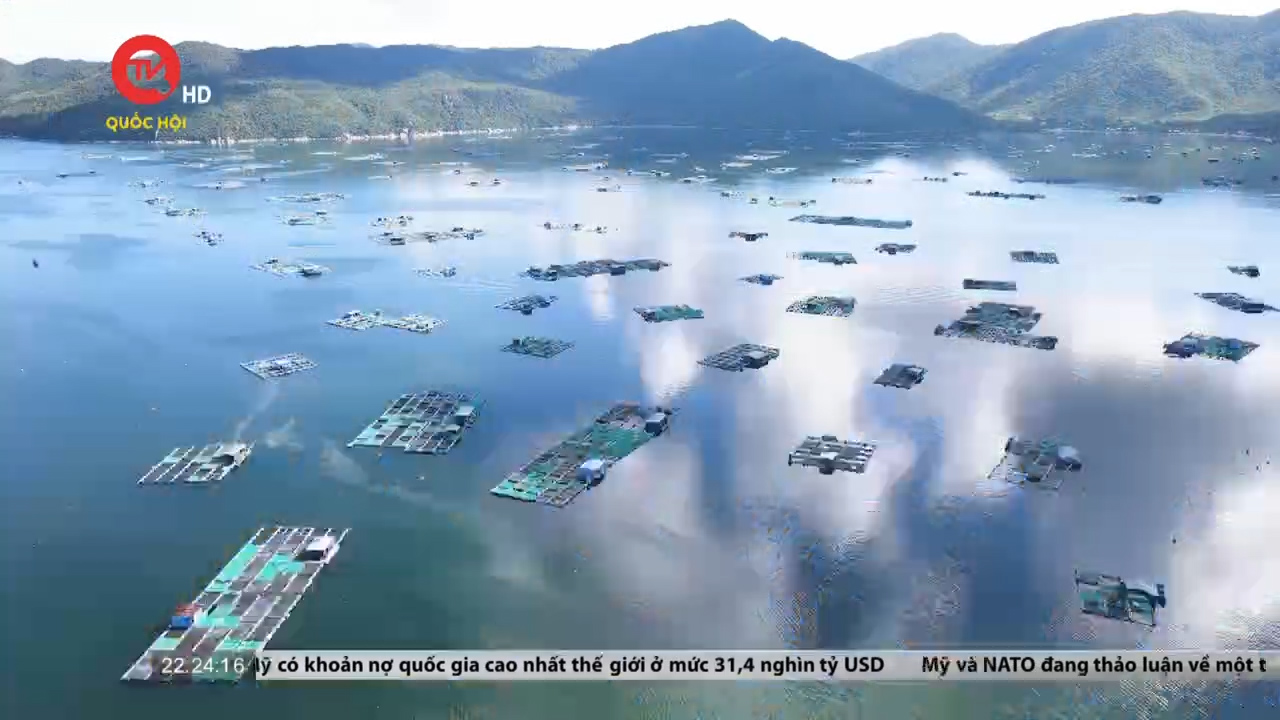 Khánh Hoà: Nuôi biển công nghệ cao tại vùng biển hở