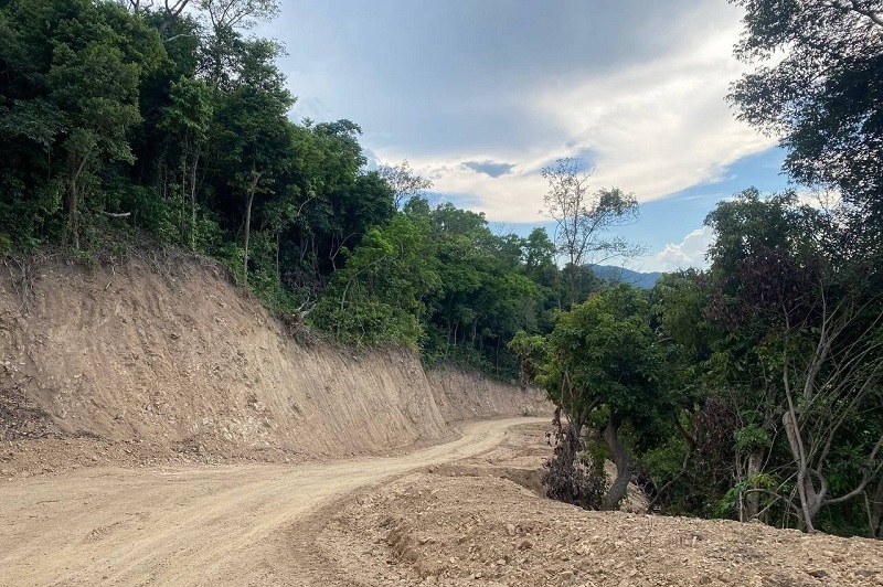 Quảng Ngãi: Hoả tốc báo cáo vụ phá rừng tự nhiên thuộc dự án KFW6 liên quan đến Tập đoàn Đèo Cả