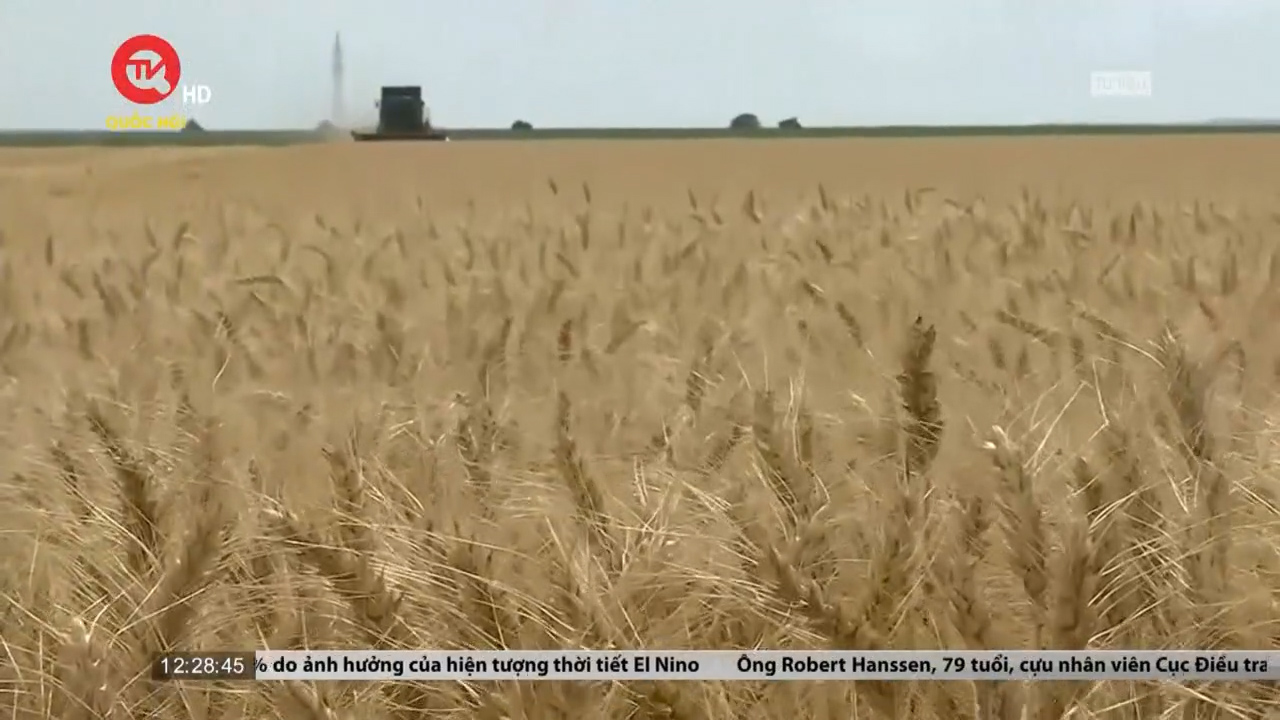 EU gia hạn lệnh cấm đối với ngũ cốc Ukraine
