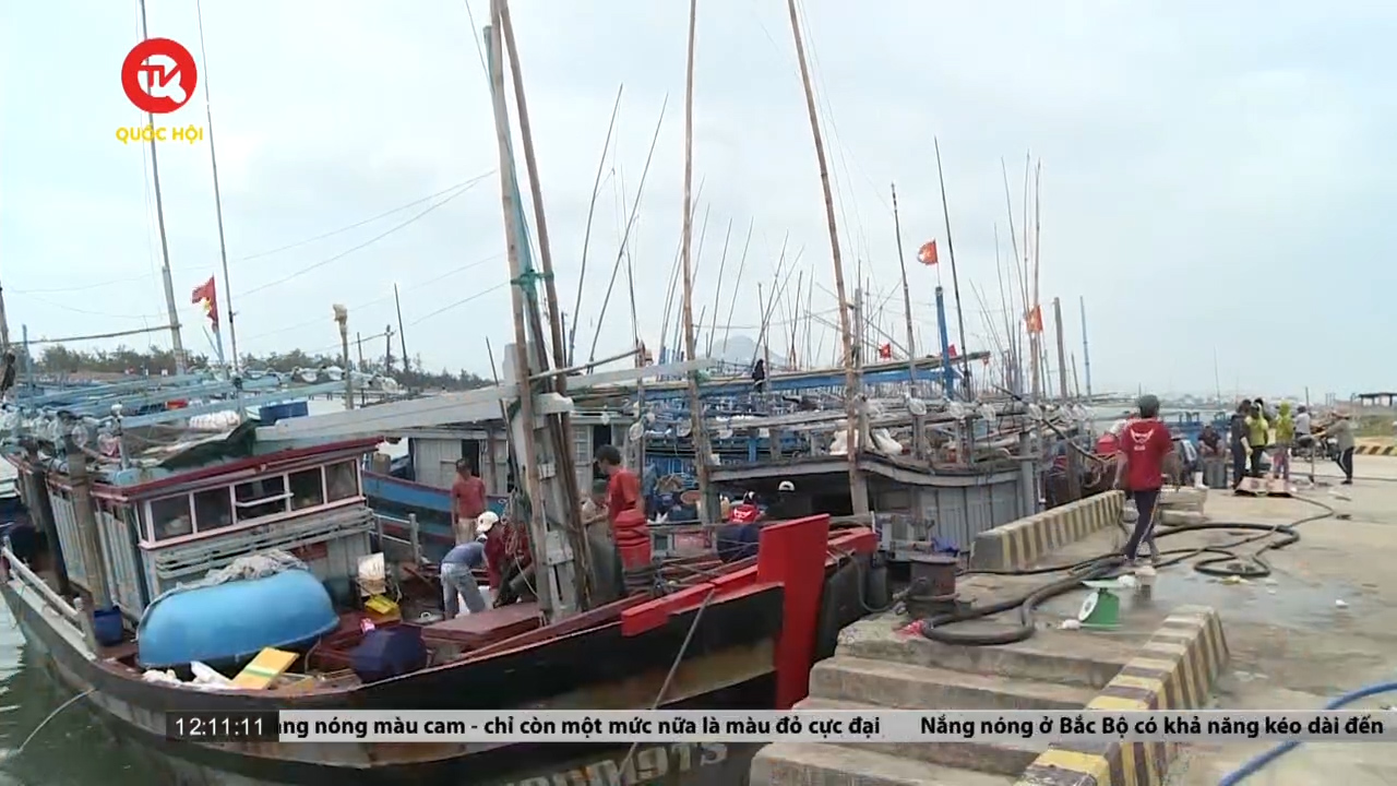 Phú Yên: Giảm chất lượng cá ngừ do khai thác trên biển dài ngày