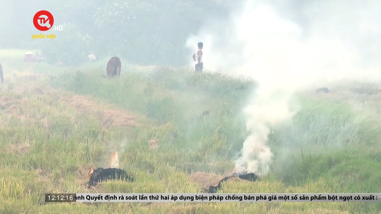 COP26: Đốt rơm rạ: Loay hoay giải pháp chống lãng phí tài nguyên, ô nhiễm môi trường khi đốt rơm rạ