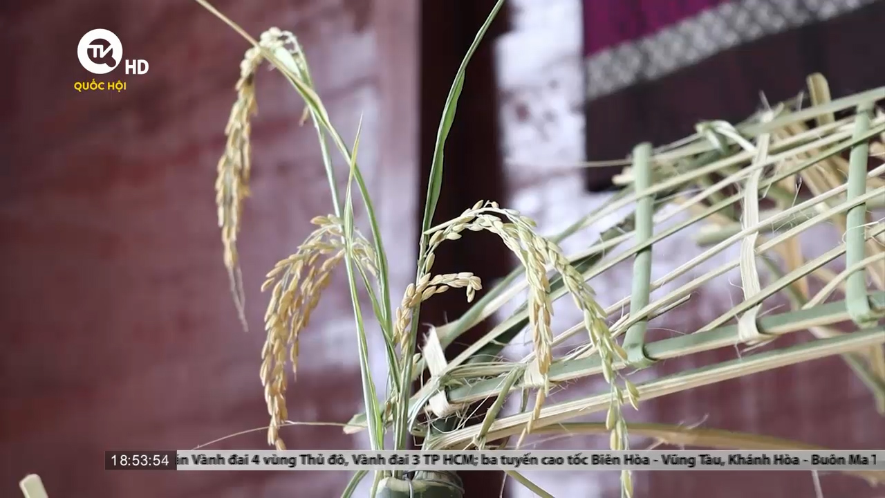 Tháng 6 về Quảng Trị trải nghiệm Lễ mừng lúa mới của đồng bào Pa Kô - Vân Kiều