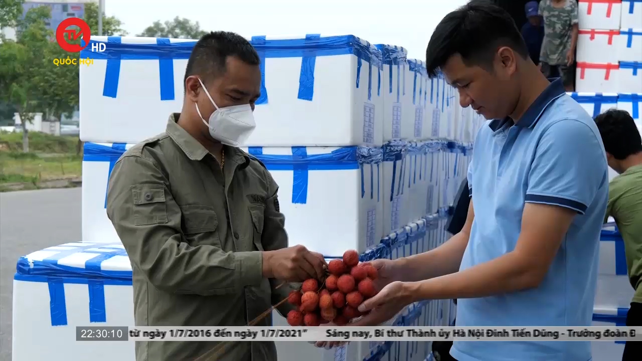Hơn 120 tấn trái cây được xuất khẩu qua cửa khẩu Kim Thành, Lào Cai