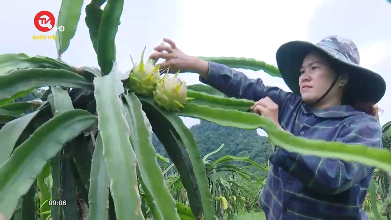 Nông nghiệp Việt Nam: Chuyển đổi số giúp nông nghiệp bắt kịp xu thế thời đại