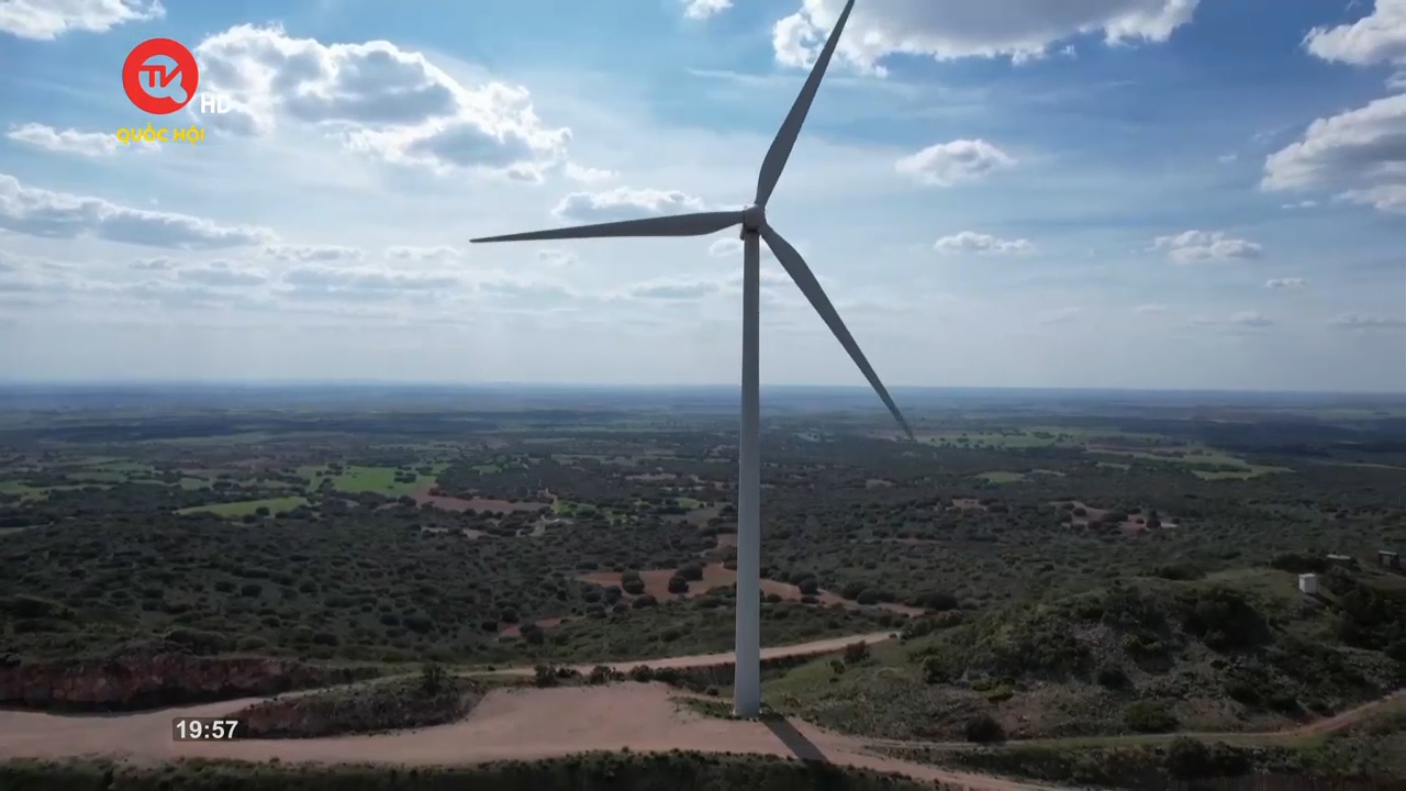 Nhìn ra thế giới: Tương lai của năng lượng gió trong quá trình chuyển đổi xanh
