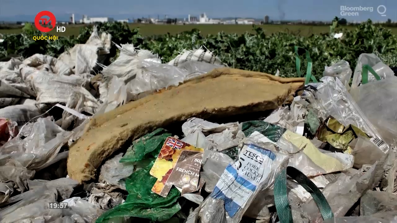Nhìn ra thế giới: Hành trình theo dấu rác thải nhựa