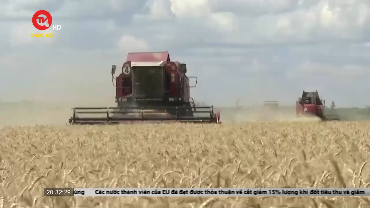 Cụm tin quốc tế tối 26/7: Nga: Thỏa thuận ngũ cốc không cản trợ chiến dịch tại Ukraine