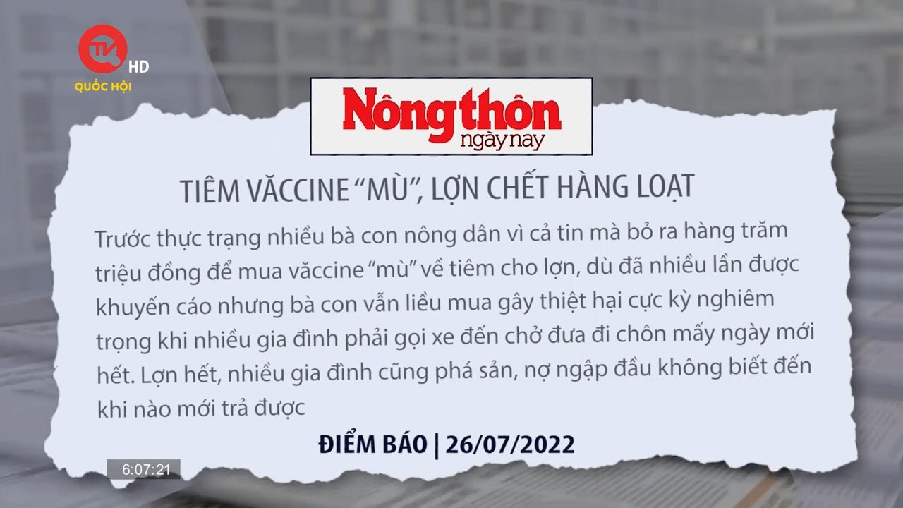 Điểm báo ngày 26/7: Tiêm vaccine “mù”, lợn chết hàng loạt