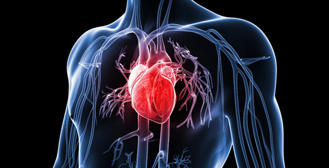 Lợi thế của cây thuốc nam trong điều trị bệnh tim mạch