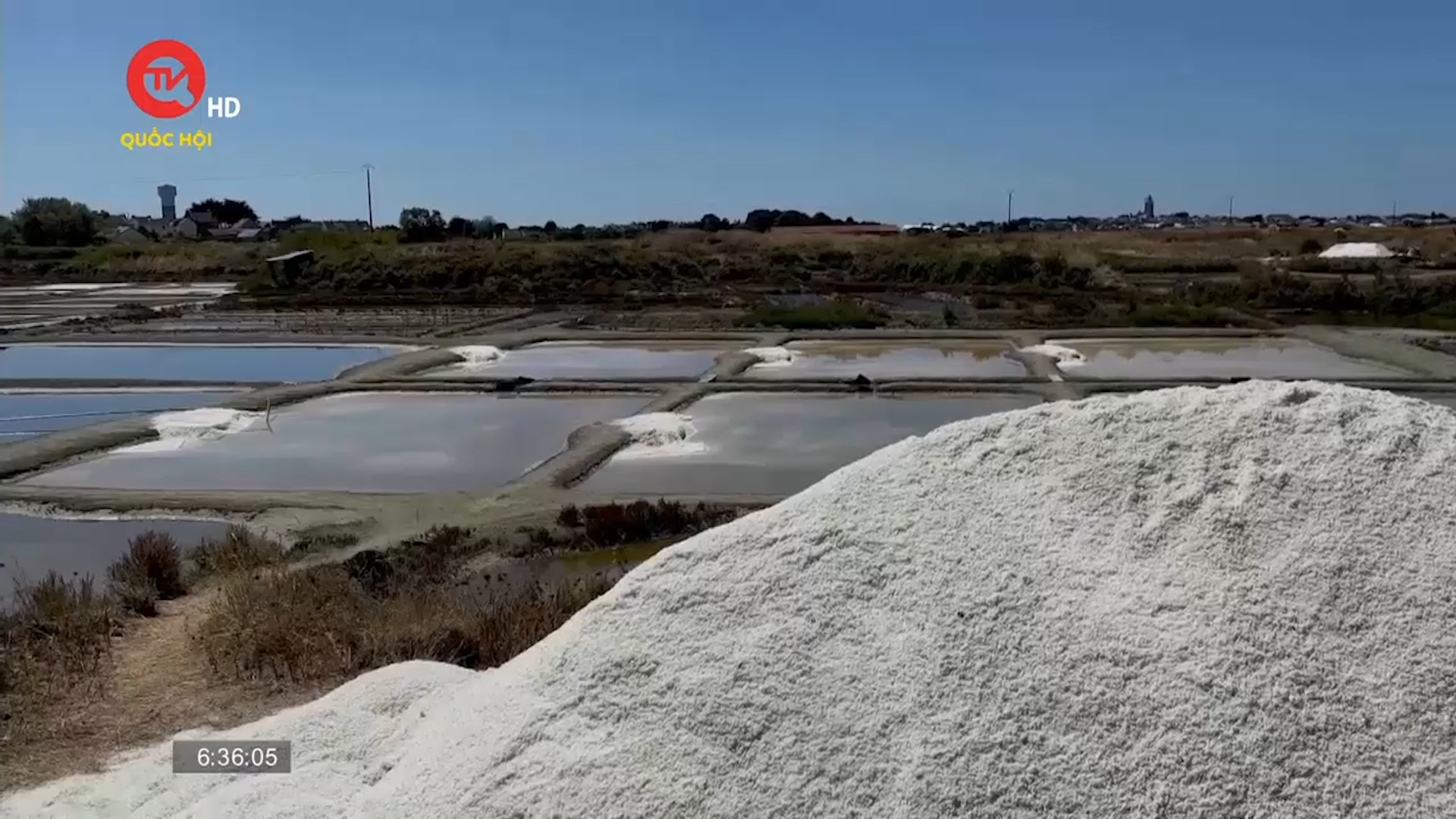 Trang trại muối tại Pháp hưởng lợi từ nắng nóng