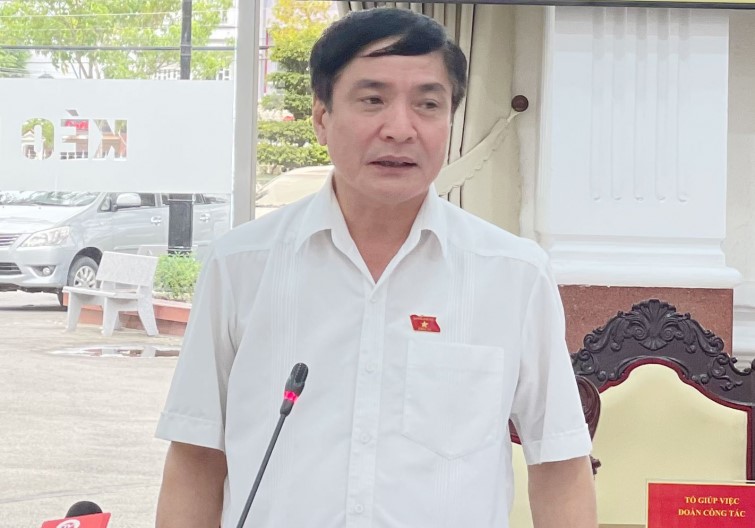 Giám sát tại Kiên Giang: Phát huy vai trò của tổ công tác đặc biệt quyết liệt xử lý 206 dự án chậm triển khai
