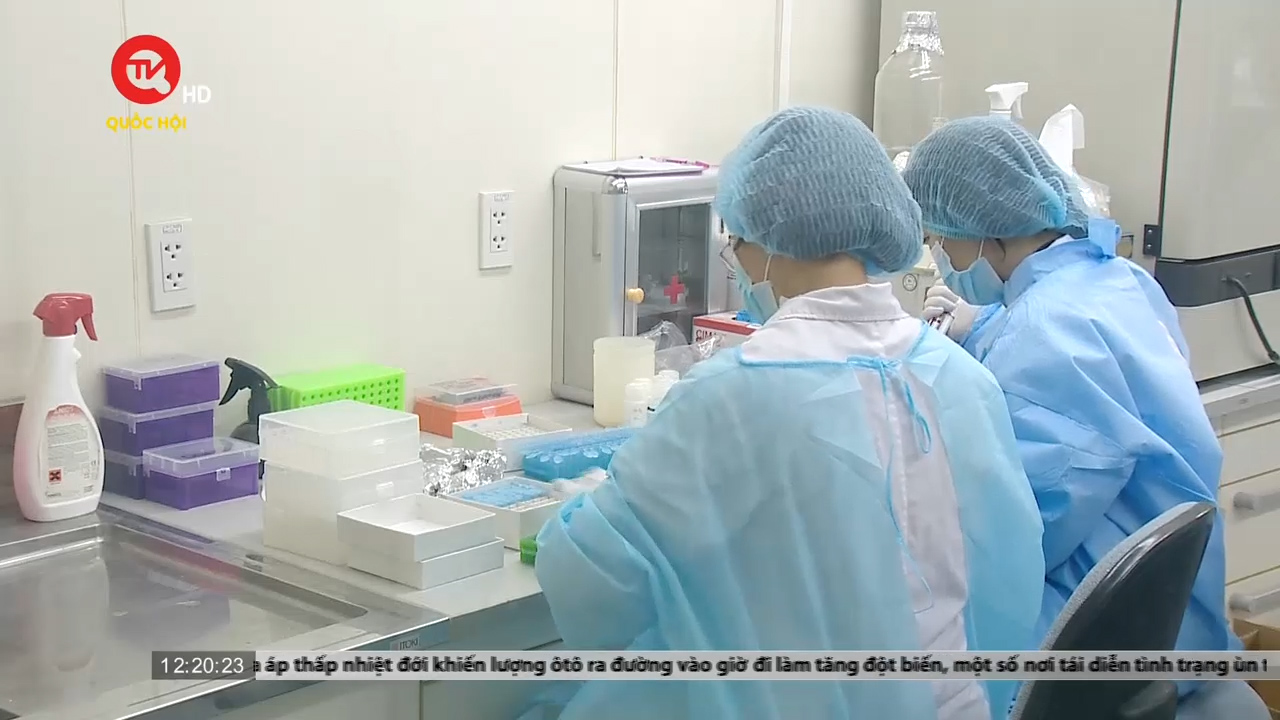 Việt Nam khẩn trương nghiên cứu sản xuất thuốc phòng, chống bệnh đậu mùa khỉ