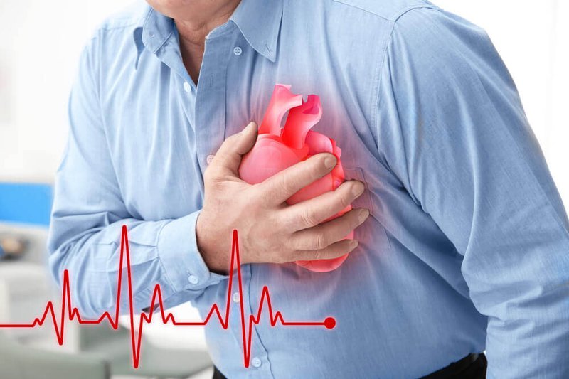 Giải pháp thảo dược hỗ trợ điều trị bệnh tim mạch hiệu quả
