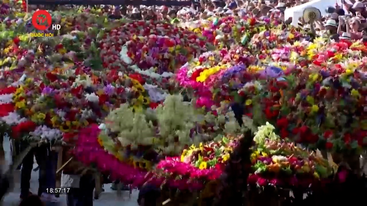 Colombia tổ chức Lễ hội Hoa thường niên Medellin