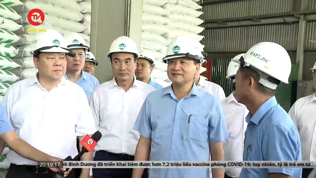 Phó Thủ tướng Lê Minh Khái khảo sát 2 dự án 'lỗ nặng' tại Lào Cai