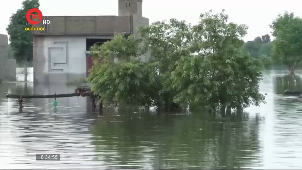 Điểm tin quốc tế: Lũ lụt nghiêm trọng tại Pakistan
