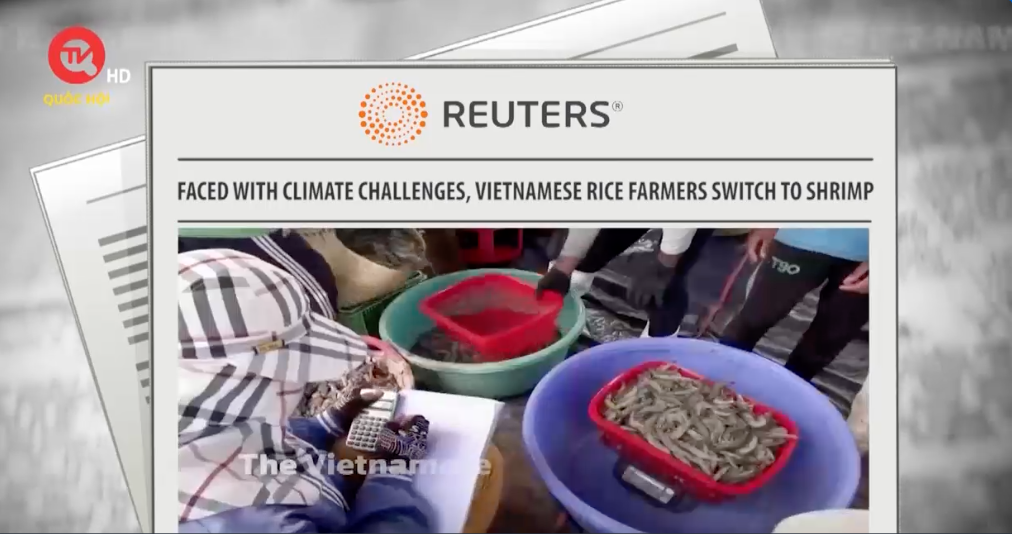 Việt Nam điểm báo |Số 5|: Nông dân ĐBSCL chuyển đổi hình thức canh tác thích ứng với biến đổi khí hậu