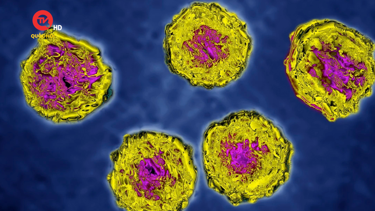 New York tuyên bố tình trạng khẩn cấp về bệnh bại liệt