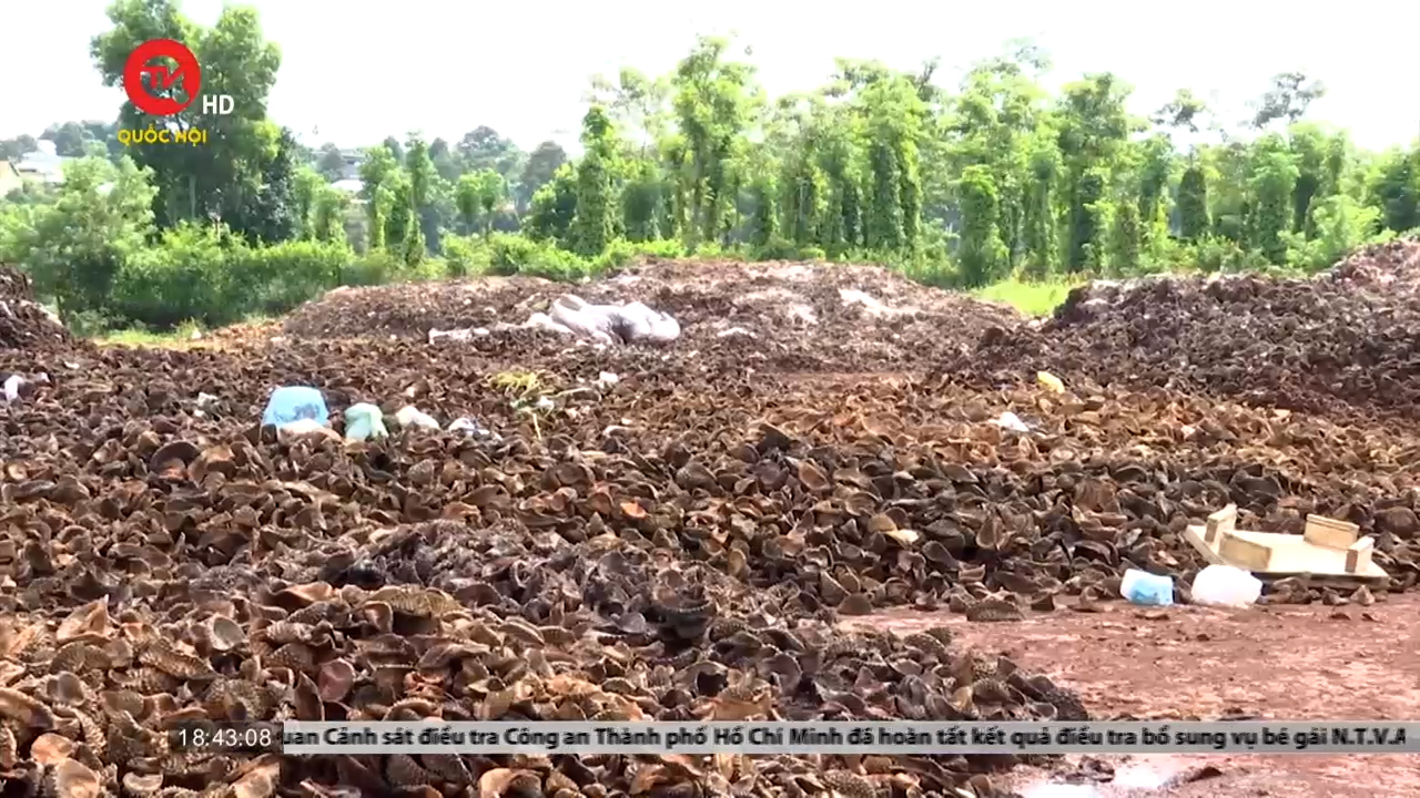 Đắk Lắk: Bãi rác vỏ sầu riêng tấn công buôn làng