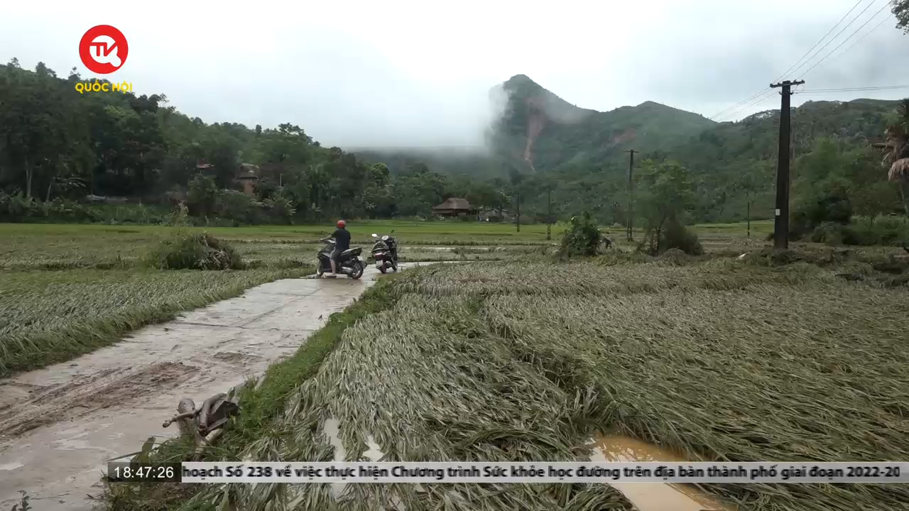 Lào Cai: Mưa lũ làm thiệt hại gần 60 ha lúa và hoa màu