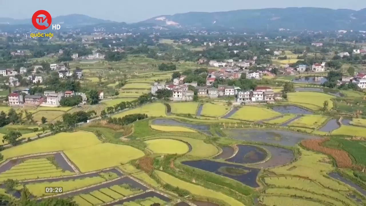 Nông nghiệp Việt Nam: Phát triển kinh tế tuần hoàn vì nền nông nghiệp bền vững