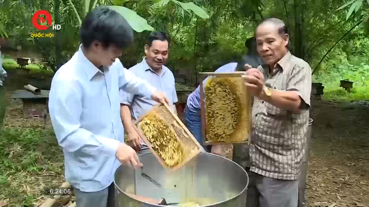 Bị áp thuế chống bán phá giá, mật ong Việt "thất thế" trên thị trường Mỹ