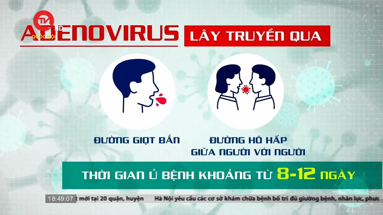 100% quận, huyện của Hà Nội có ca nhiễm Adenovirus