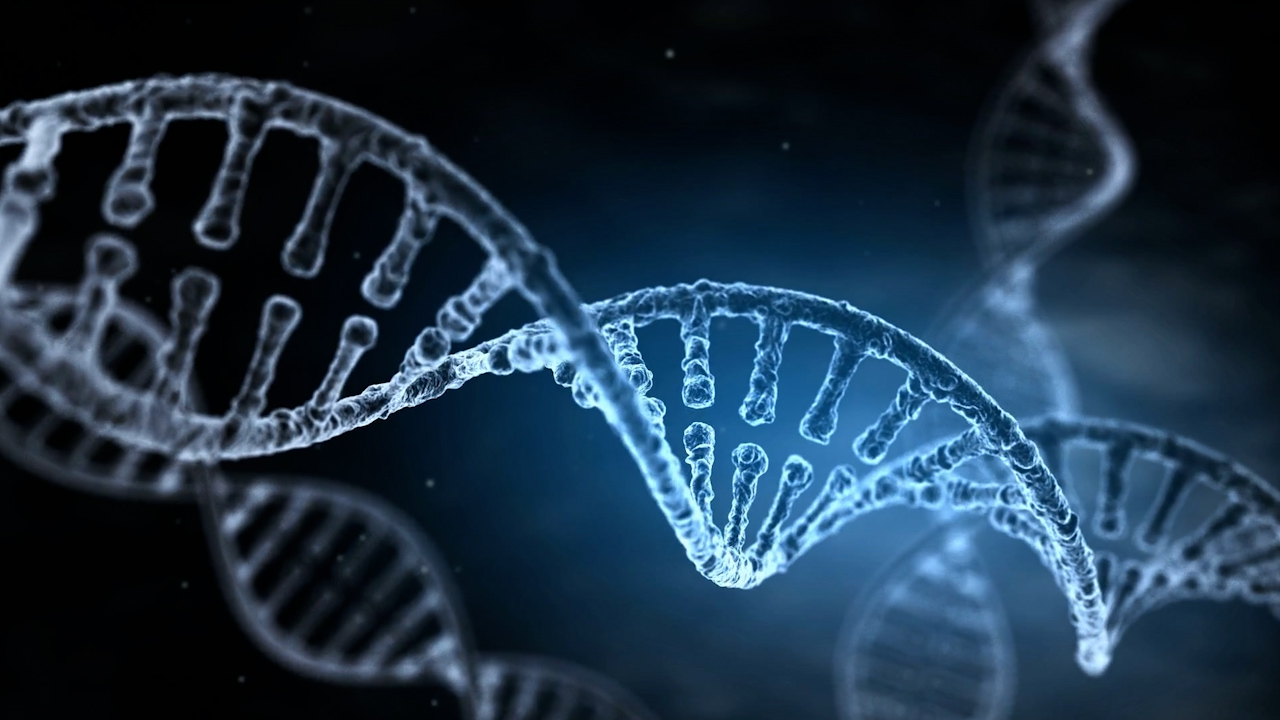 Xuất hiện 155 gene mới, loài người tiếp tục tiến hóa?