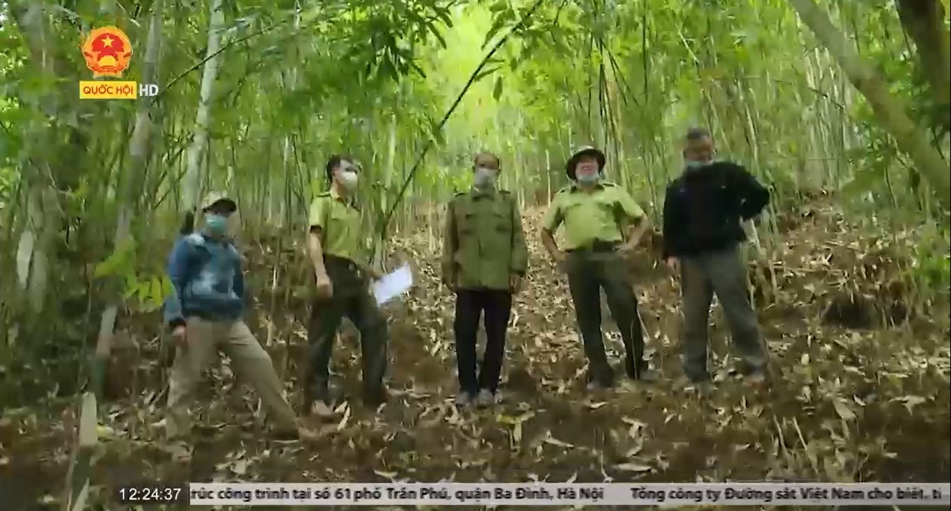 Sơn La: Hỗ trợ gạo để người dân giữ rừng